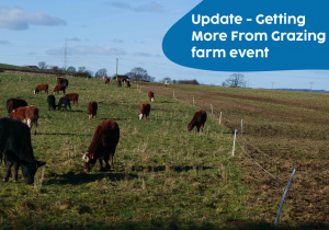 Community Springboard Webinar (9)